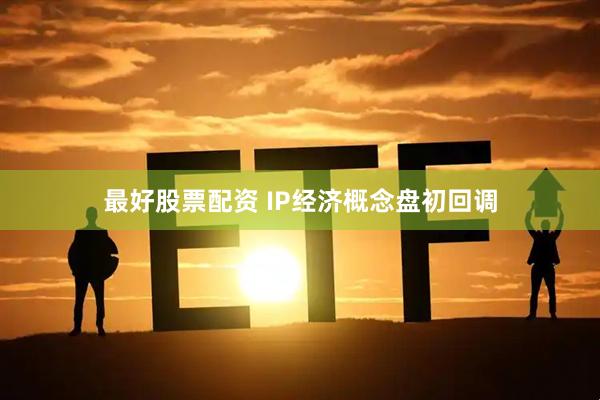最好股票配资 IP经济概念盘初回调